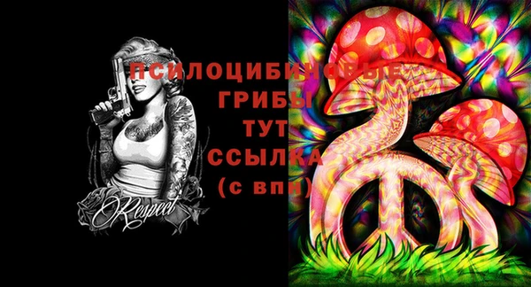 Альфа ПВП Белоозёрский