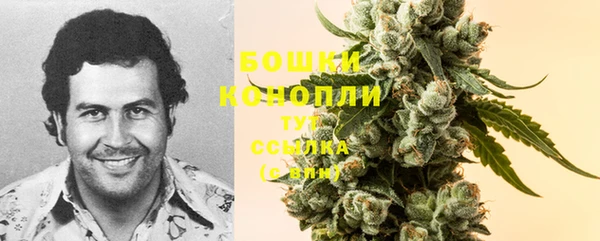 2c-b Белокуриха