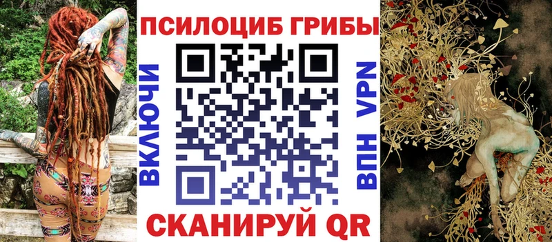Галлюциногенные грибы Cubensis  сколько стоит  OMG как зайти  Реутов 